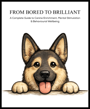 From Bored to Brilliant