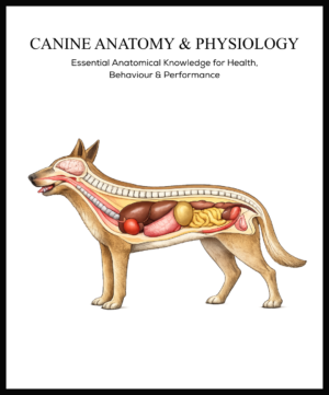 A Scientific Study of Canine Structure, Function & Metabolic Processes