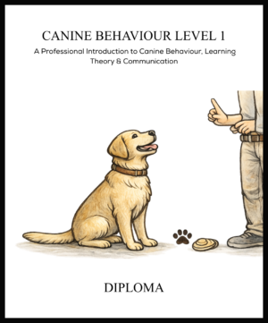 Diploma in Canine Behaviour Level 1
